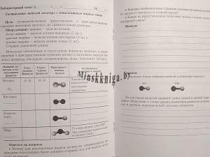 Химический эксперимент. Тетрадь для практических работ и лабораторных опытов в 8 классе, Борушко И.И., Сэр-Вит