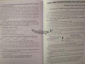 Русский язык. 6 класс. Практикум. Компетентностный подход, Строк Л.И., Экоперспектива