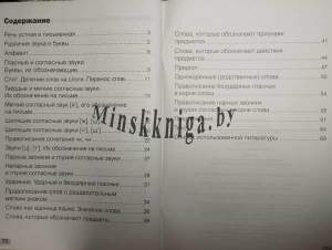 Русский язык. Тематический контроль. 2 класс (для школ с русским языком обучения). Гриф, Федорович, АiВ